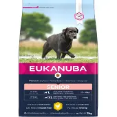 Eukanuba Senior Large hundfoder med kyckling