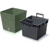 Prosperplast Furu DFS240 grön geléblad kruka
