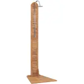 vidaXL Utomhusdusch massiv teak 70x75x204 cm