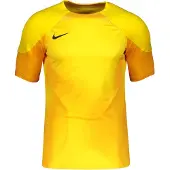 Nike Gardien IV målvaktsjacka JSY SS DH7760 719