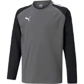 Puma Funktionstopp 'TeamLiga' grå / svart / vit