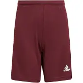 Adidas Squadra 21 Shorts