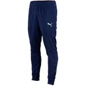 Puma Teamrise Poly Training Byxor