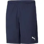 Puma Teamrise Training Shorts