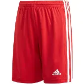 Adidas Squadra 21 Shorts