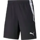 Puma Teamliga 2 Shorts
