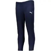 Puma Teamrise Poly Träningsbyxor