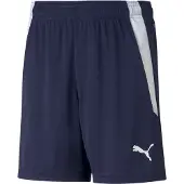 Puma teamLIGA Shorts Jr 704931-006