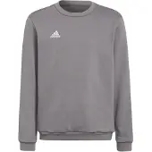 Adidas Entrada 22 Stadium Sw Tröja