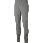 Puma Sportbyxa 'TeamCup' grå / mörkgrå