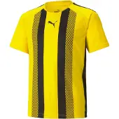 Puma Teamliga Striped Jersey Jr Cyber Yellow-Black, storlek 164 cm