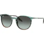 Ray-Ban 0RB2204 Solglasögon -