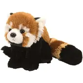 Sonstige Verlage Kuddleksak Cuddle kins Mini Red Panda