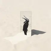 Konkurrent Penguin Café: Imperfect Sea
