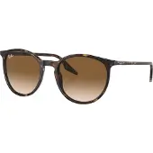Ray-Ban 0RB2204 Solglasögon -