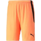 Puma Shorts Teamliga - Orange/svart, storlek Small
