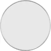 vidaXL Väggspegel silver Ø 40 cm rund