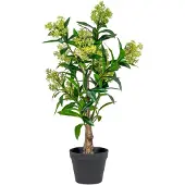 House Nordic Arbre de skimmia artificiel 75 cm grön