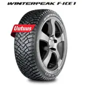 Falken WINTERPEAK F-ICE 1