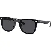 Ray-Ban 0RB4420 Solglasögon -