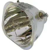 Optoma BL-FP120C (SP.86801.001) originallampa utan modul