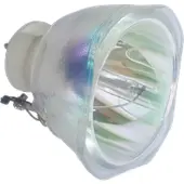 Acer PD110Z kompatibel lampa utan modul