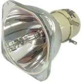 BenQ 5J.JD705.001 kompatibel lampa utan modul