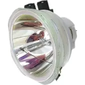 Panasonic PT-DZ870ES (portrait) kompatibel lampa utan modul
