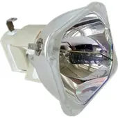 Ask M20 originallampa utan modul