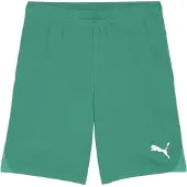 Puma Fotbollsshorts teamGOAL - Grön/White, storlek 3XL
