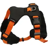 Dogman Sportsele Emmi orange XL