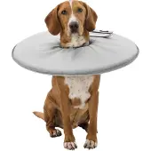 Trixie Veterinary Hundhalsband