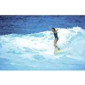Divine Jericho Poppler Haleiwa 1979 Affisch