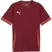Puma Tränings T-Shirt teamGOAL - Team Red/White, storlek XX-Large