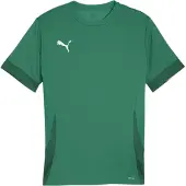Puma Tränings T-Shirt teamGOAL - Grön/Svart, storlek 3XL