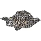 Schuller Valencia Vägg- och plafondlampa Saten, kristallglas, 41 cm SATEN, Genomskinlig / transpare, Vardagsrum / matsal, Kristall, Vägglampa, vägglampa inomhus