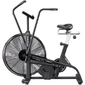 Assault Bike Classic