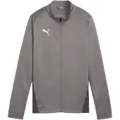 Puma Träningsjacka 'TeamGoal' grå / ljusgrå