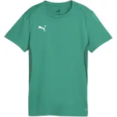 Puma Teamgoal Jersey Wmn Sport Green-White, storlek Small