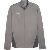 Puma Träningsjacka teamGOAL - Grå/White, storlek Small