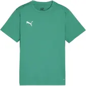 Puma Tränings T-Shirt teamGOAL - Grön/White Barn, storlek 164 cm