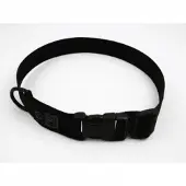 K9 Thorn 25mm Halsband med D-Ring (Färg: Svart, Storlek: Large)