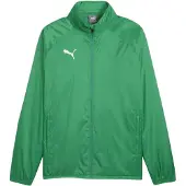 Puma Sportjacka 'TeamGoal' grön / vit