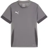 Puma Tränings T-Shirt teamGOAL - Grå/White Barn, storlek 164 cm