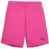 Puma teamGOAL Shorts Jr 705753-25
