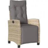 vidaXL Justerbar trädgårdsstol med fotpall i blandat beige rotting 365237
