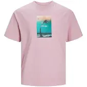 Jack & Jones Vesterbro Picture T-shirt Med Korta ärmar