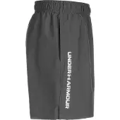 Under Armour Woven Wordmark Shorts