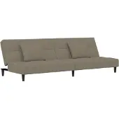 vidaXL Bäddsoffa 2-sits med två kuddar ljusgrå sammet