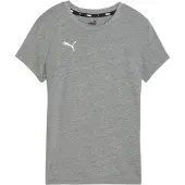 Puma Funktionstopp 'TeamGOAL' grå / vit